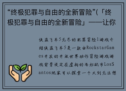 “终极犯罪与自由的全新冒险”(「终极犯罪与自由的全新冒险」——让你成为犯罪世界的主宰)